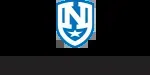 Northstar company icon