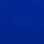 Blu Sky VAS LLC company icon