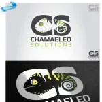 Chameleon Ideas Inc. company icon