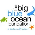 Blue Ocean Foundation company icon