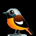 T F G Solution company icon